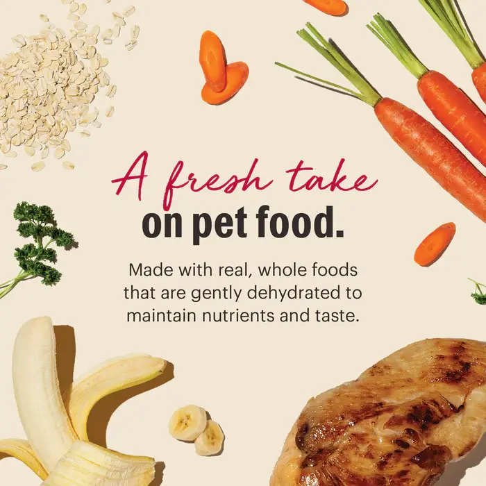 The Honest Kitchen Wholemade™ Whole Grain Chicken Recipe Dog Food 10lb