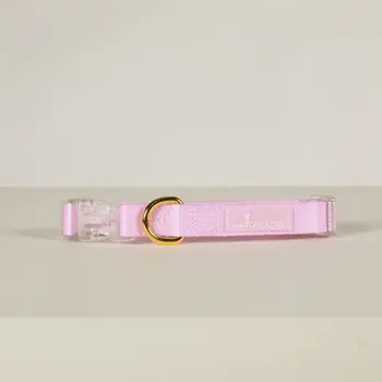 Cavology Dog Collar