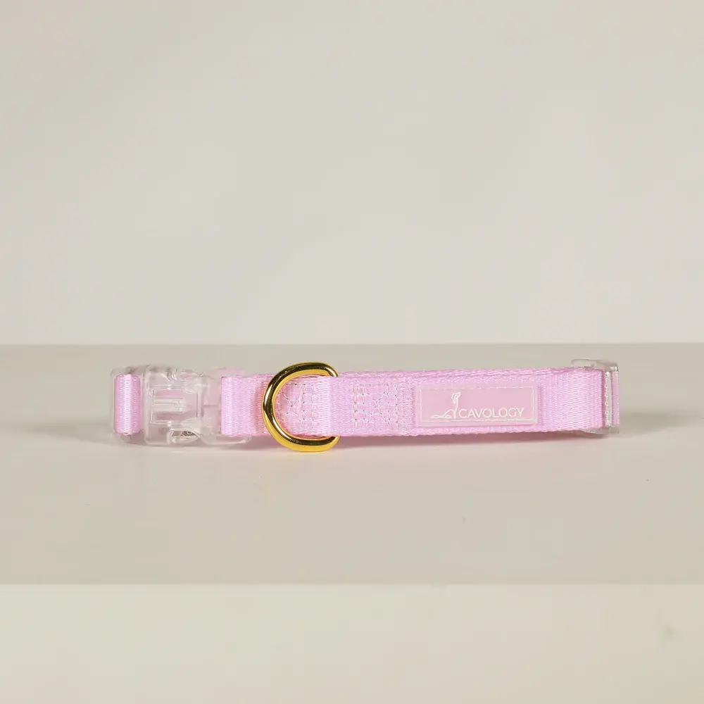 Cavology Dog Collar
