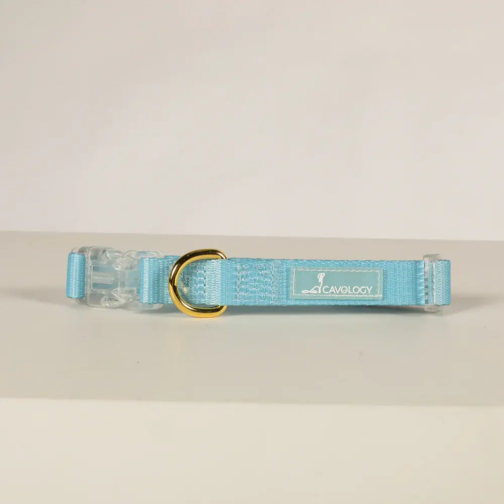 Cavology Dog Collar