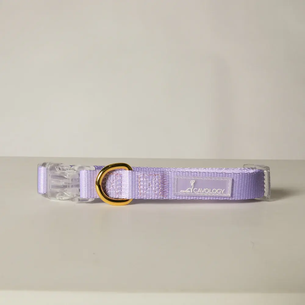 Cavology Dog Collar