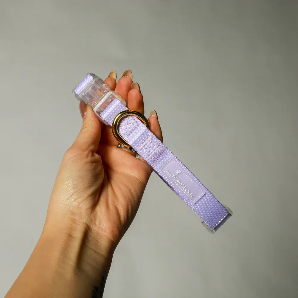 Cavology Dog Collar