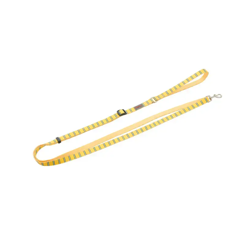 Puppy Gallery Stripe Daisy Dog Lead Yellow