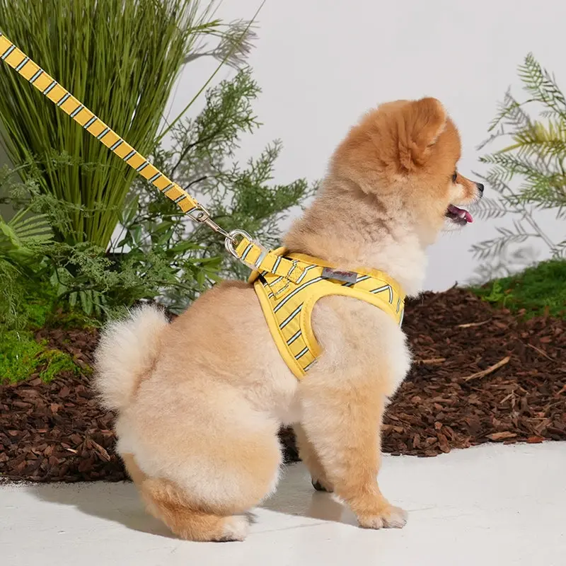 Puppy Gallery Stripe Daisy Dog Lead Yellow