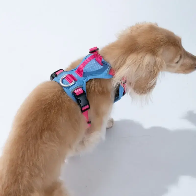 Puppy Gallery GO Mentum Dog Harness Blue & Pink