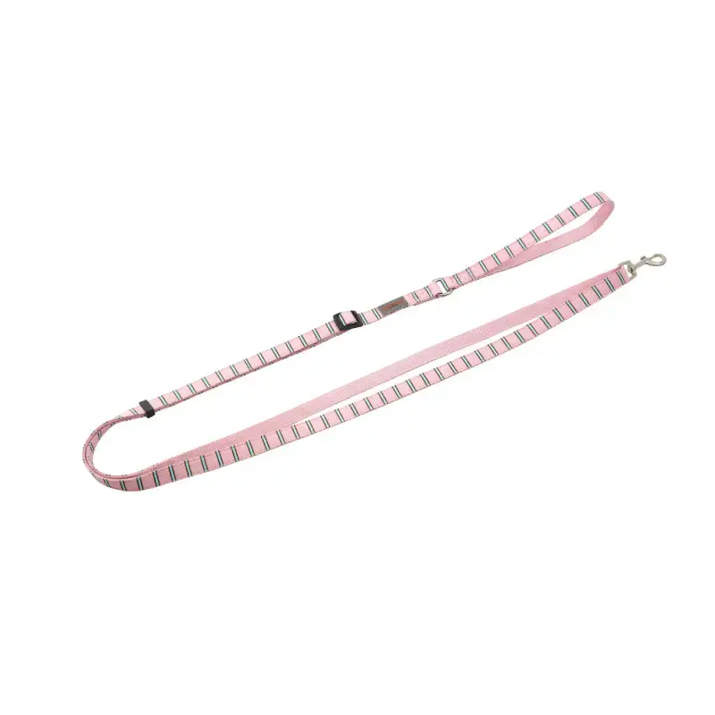 Puppy Gallery Stripe Daisy Dog Lead Pink
