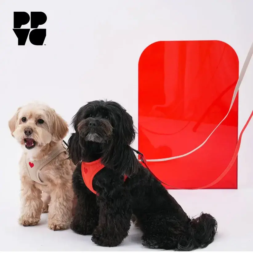 Puppy Gallery PPYG Weatherproof Dog Lead Black