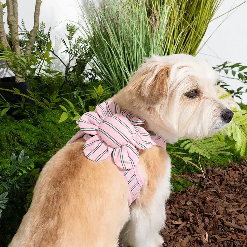 Puppy Gallery Stripe Daisy Dog Toy Pink