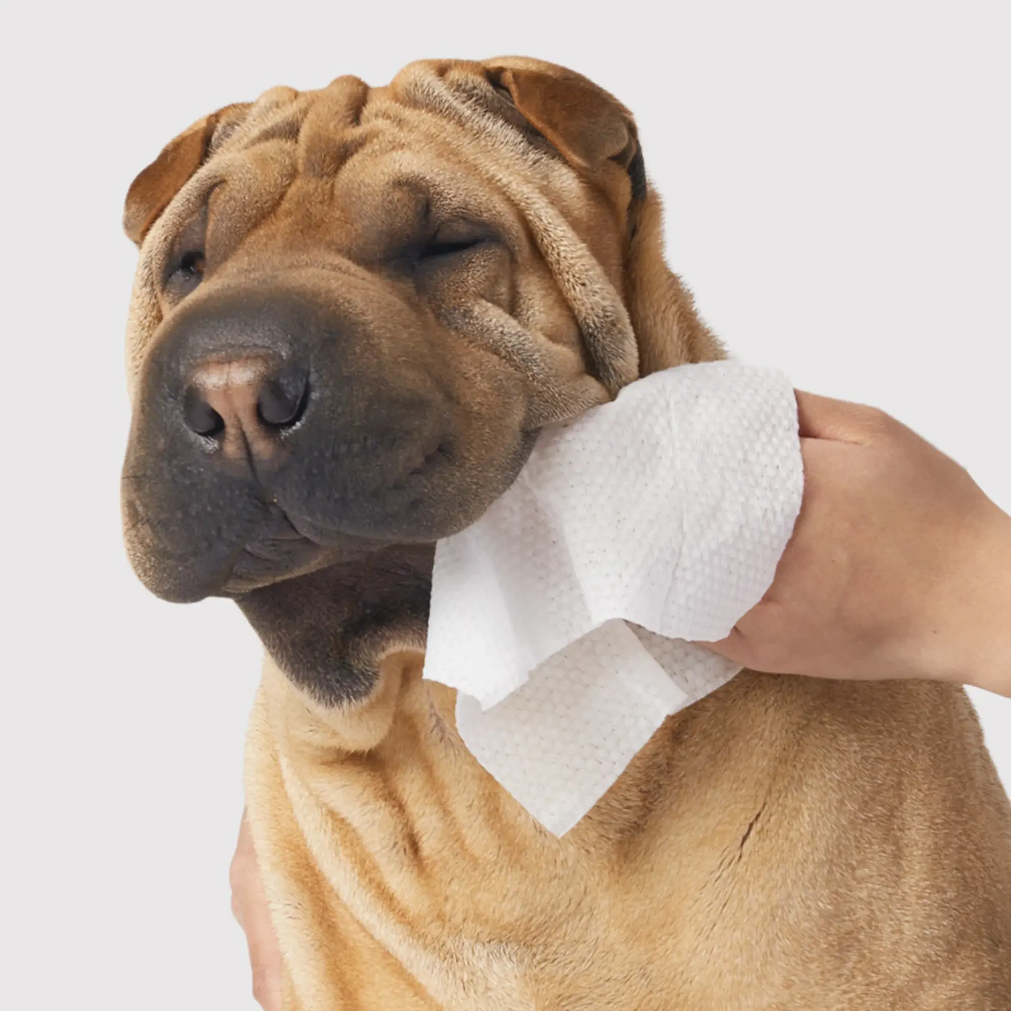 Dandylion Gentle Cleanse Dog Wipes - 90 Wipes