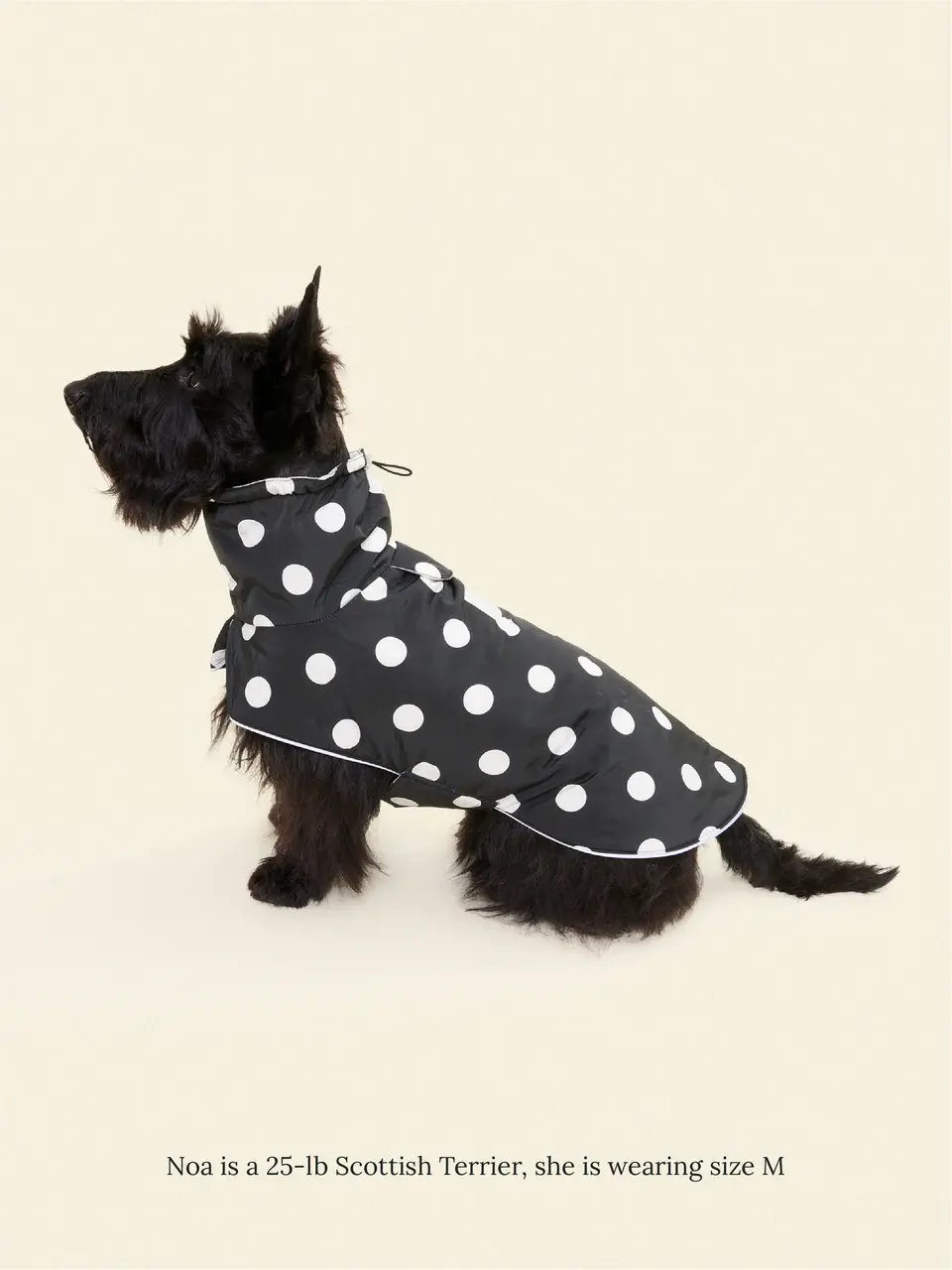 Little Beast Polka Raincoat