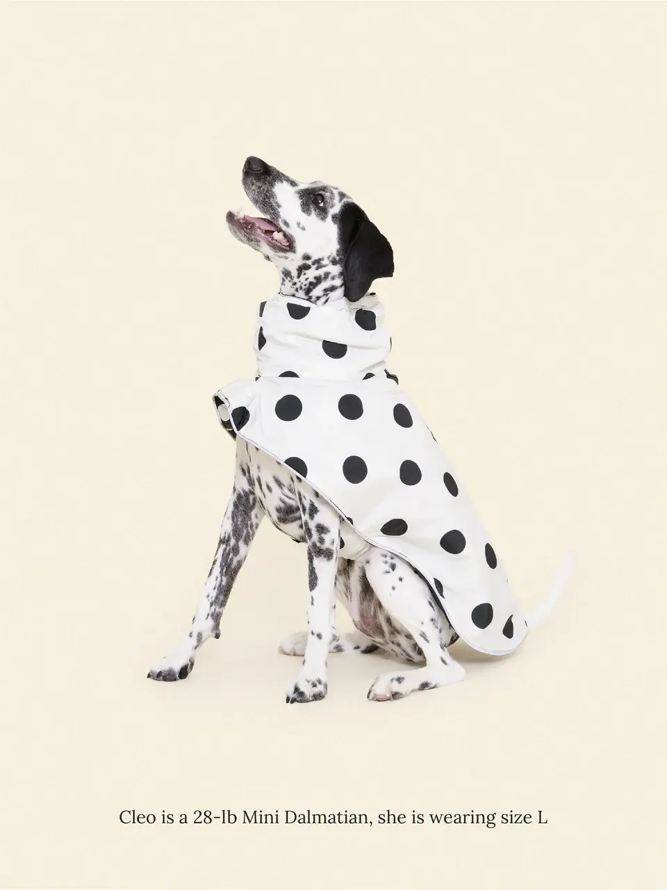 Little Beast Polka Raincoat