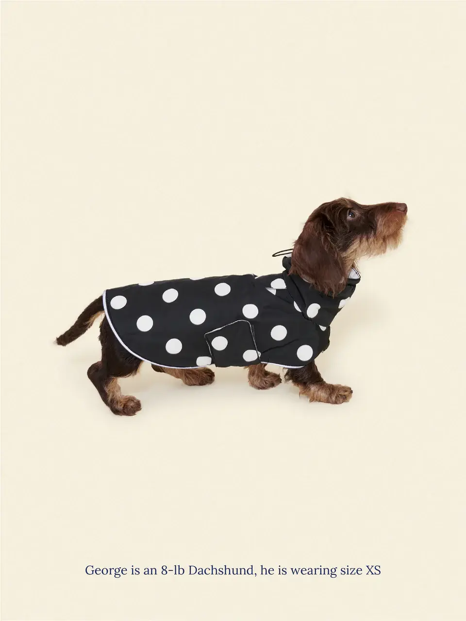 Little Beast Polka Raincoat