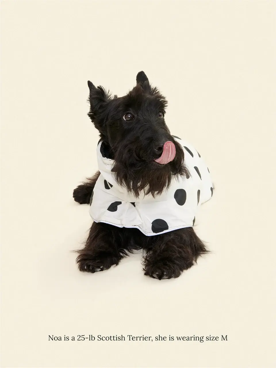 Little Beast Polka Raincoat