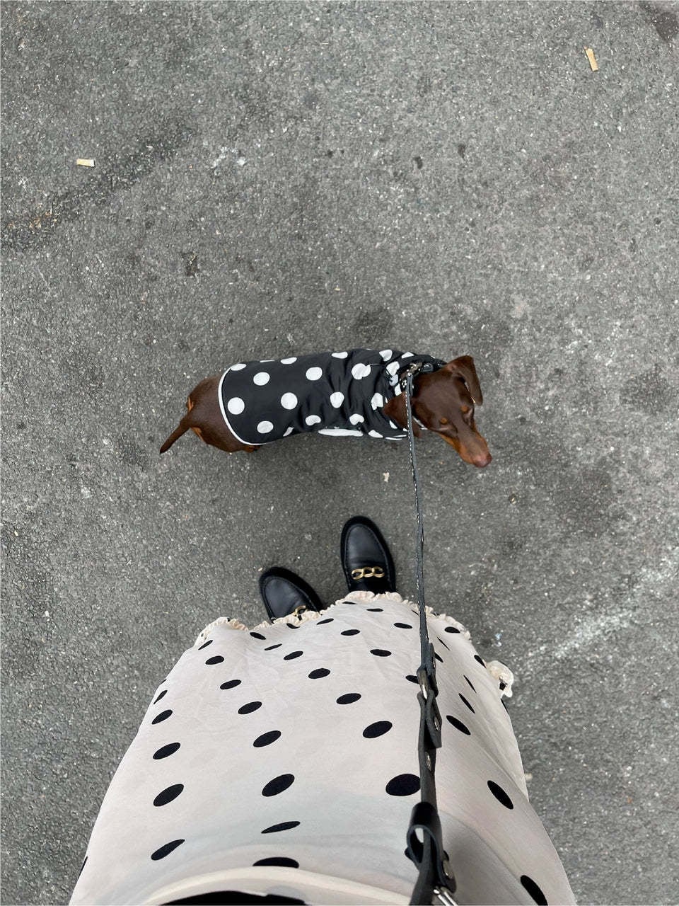 Little Beast Polka Raincoat