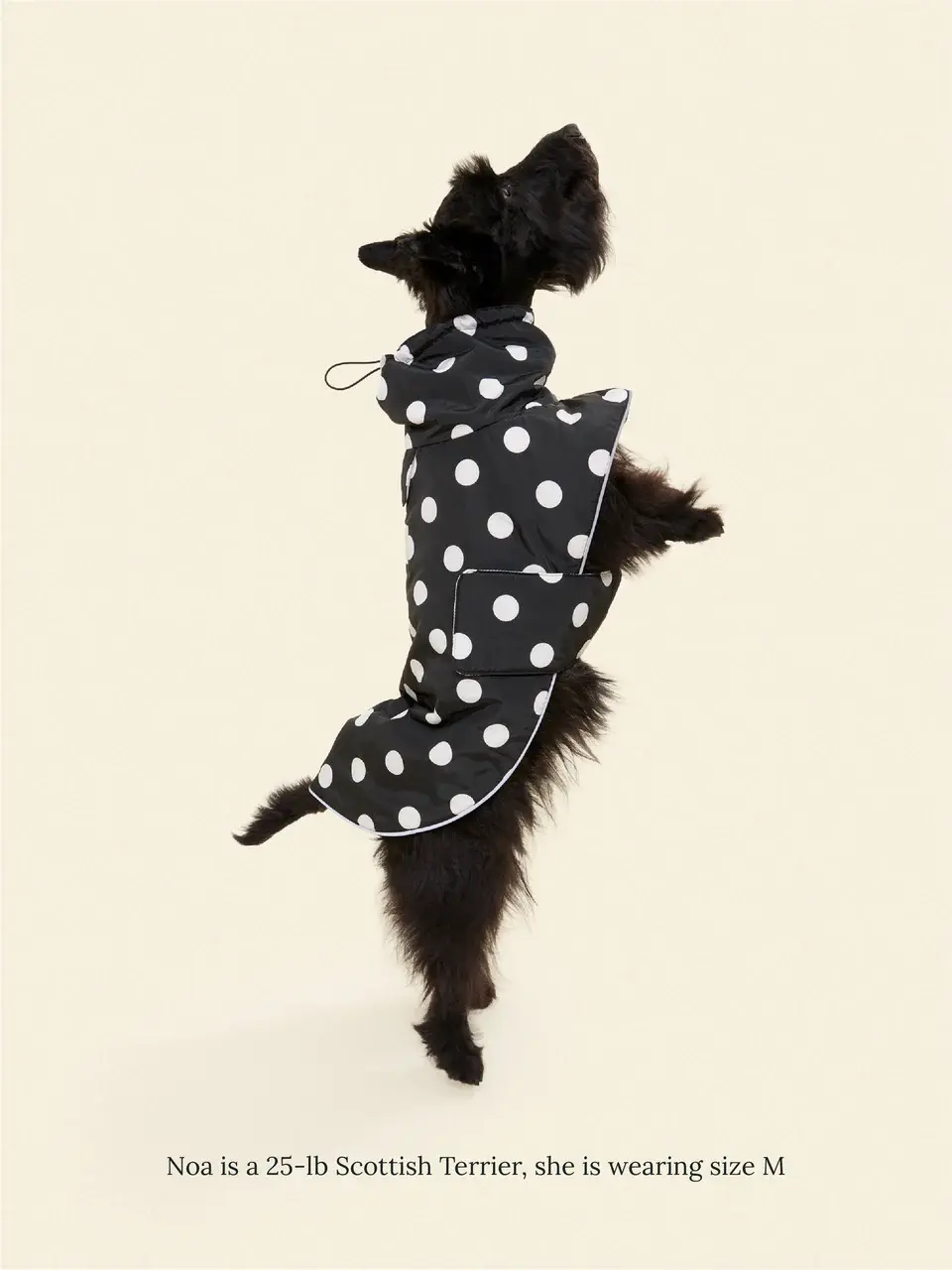 Little Beast Polka Raincoat