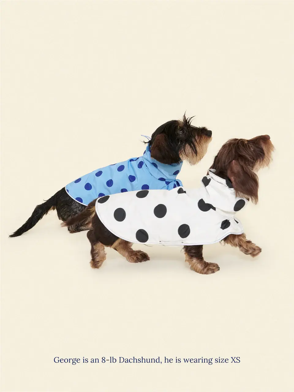 Little Beast Polka Raincoat