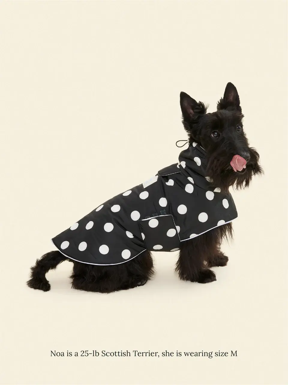 Little Beast Polka Raincoat