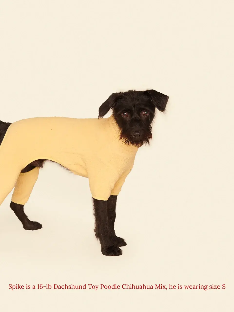 Little Beast Solid Fleece Onesie - Yellow