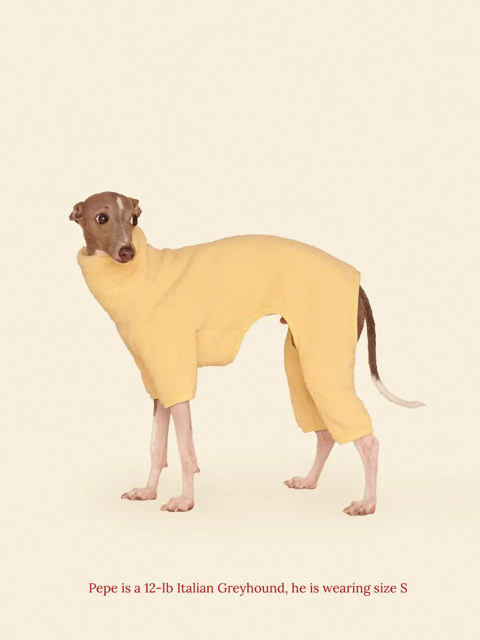 Little Beast Solid Fleece Onesie - Yellow