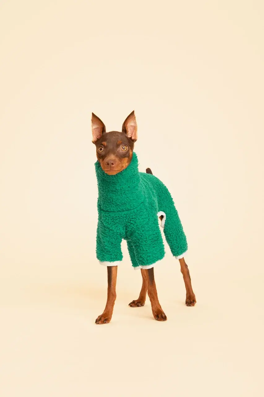 Little Beast Solid Fleece Onesie - Green