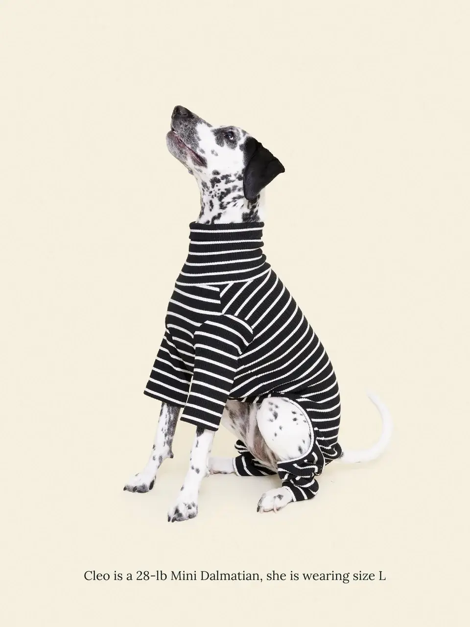 Little Beast Café in Paris Onesie- White & Black