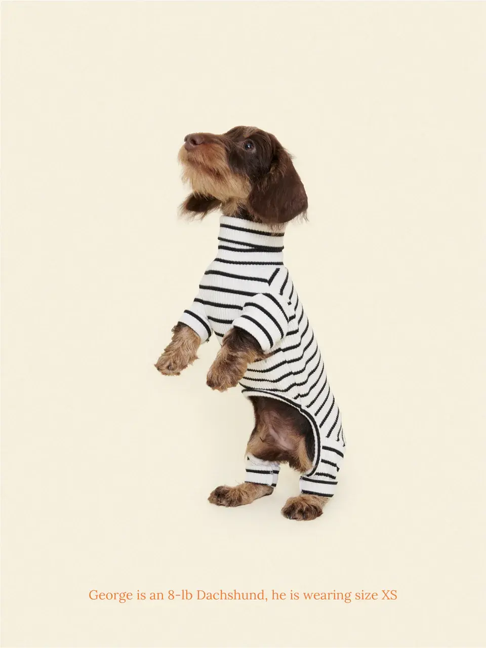 Little Beast Café in Paris Onesie- White & Black
