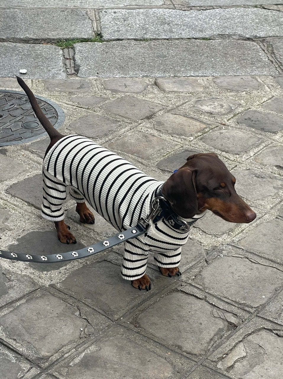 Little Beast Café in Paris Onesie- White & Black