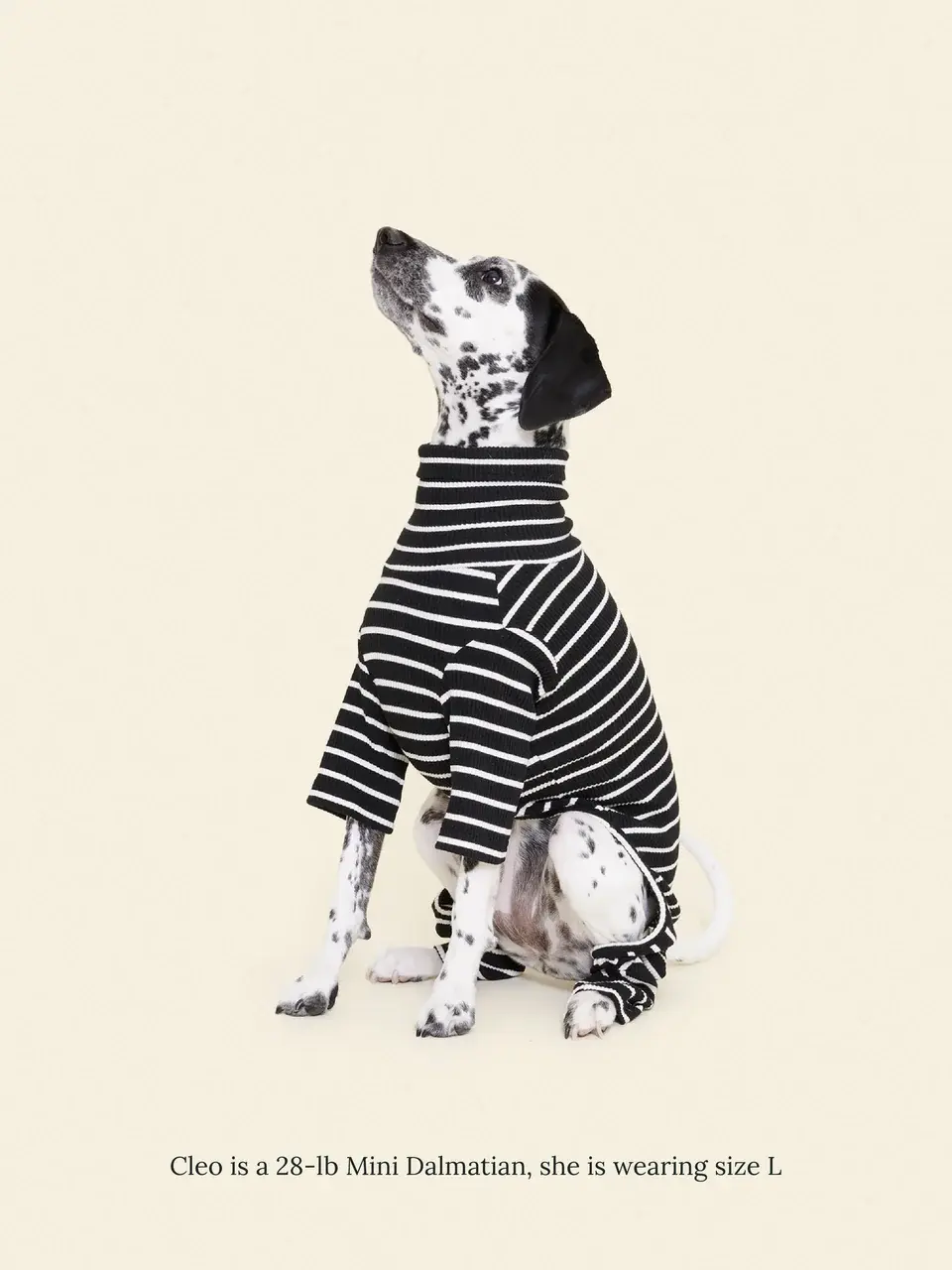 Little Beast Café in Paris Onesie- Black & White