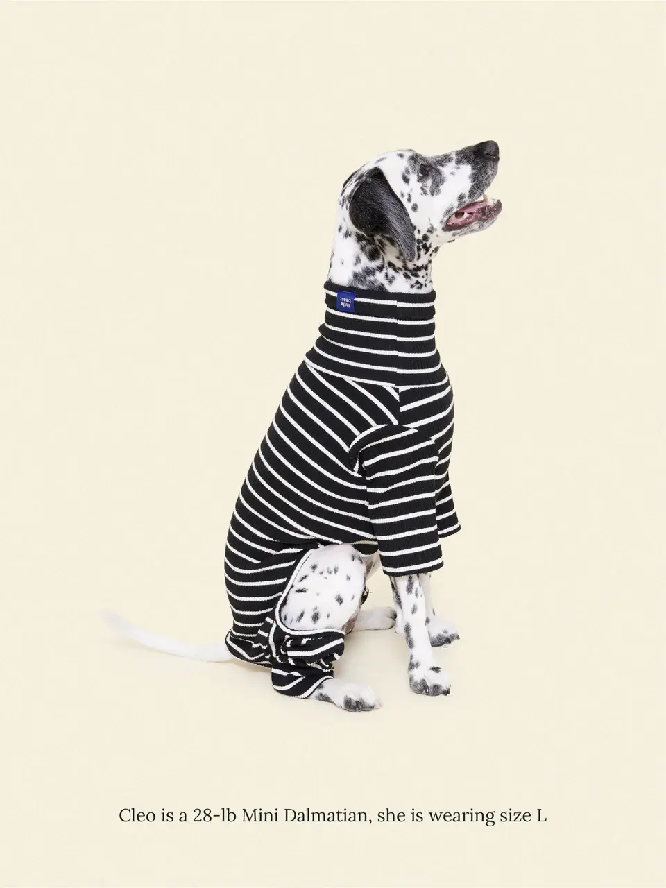 Little Beast Café in Paris Onesie- Black & White