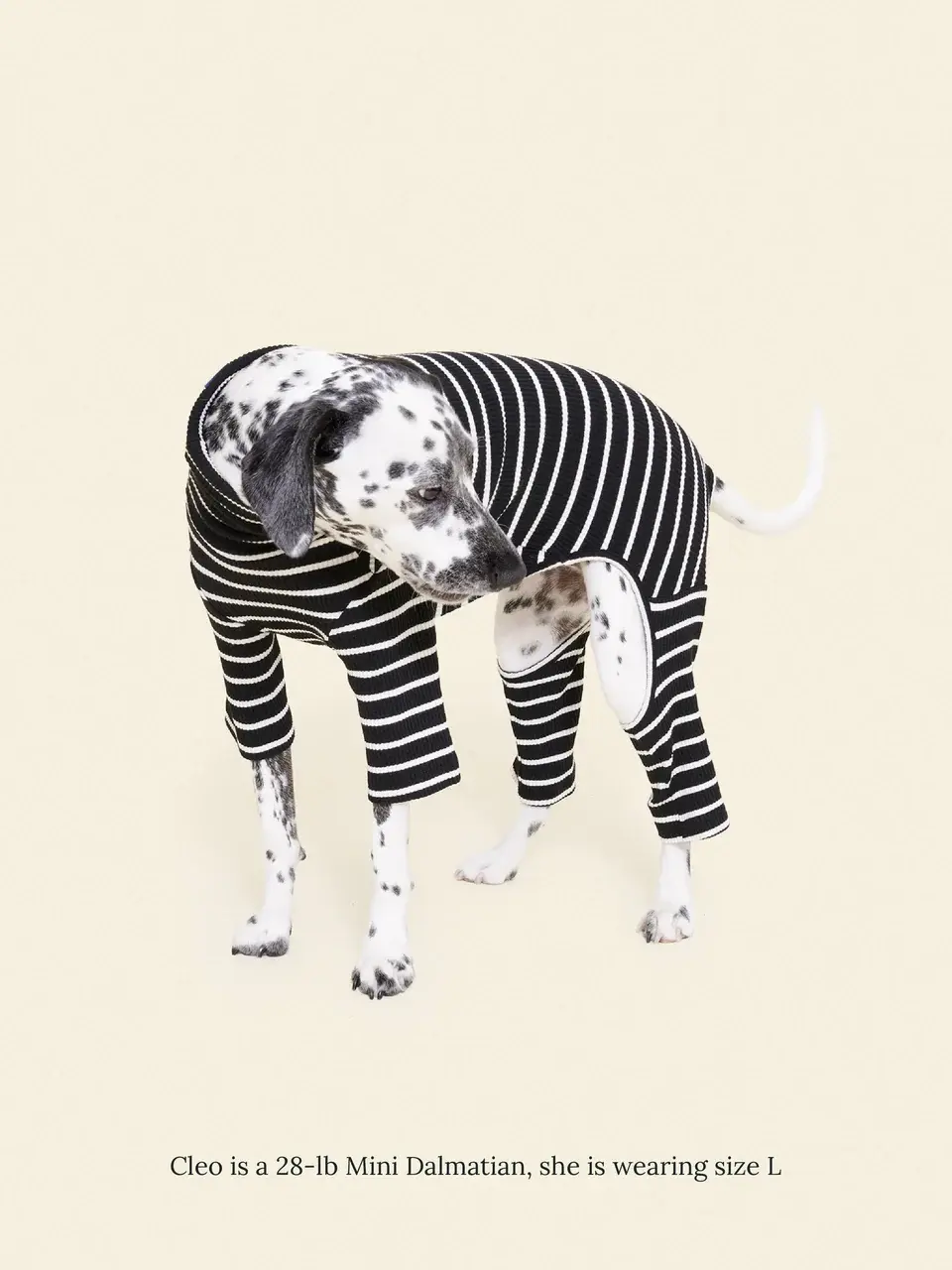 Little Beast Café in Paris Onesie- Black & White