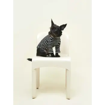 Little Beast Café in Paris Sweatshirt Striped Shirt - Black & White