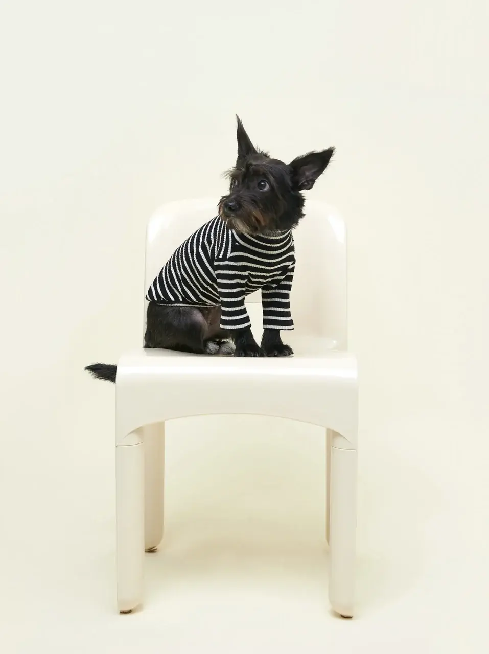 Little Beast Café in Paris Sweatshirt Striped Shirt - Black & White