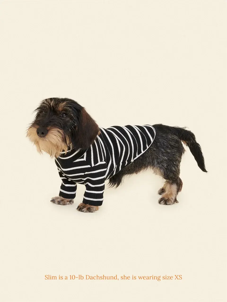 Little Beast Café in Paris Sweatshirt Striped Shirt - Black & White