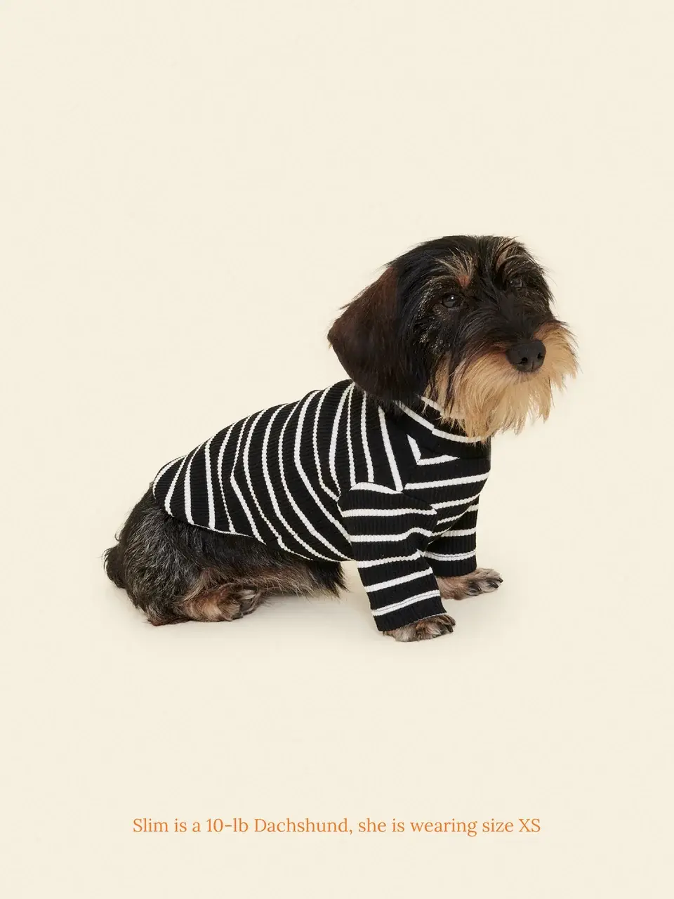 Little Beast Café in Paris Sweatshirt Striped Shirt - Black & White