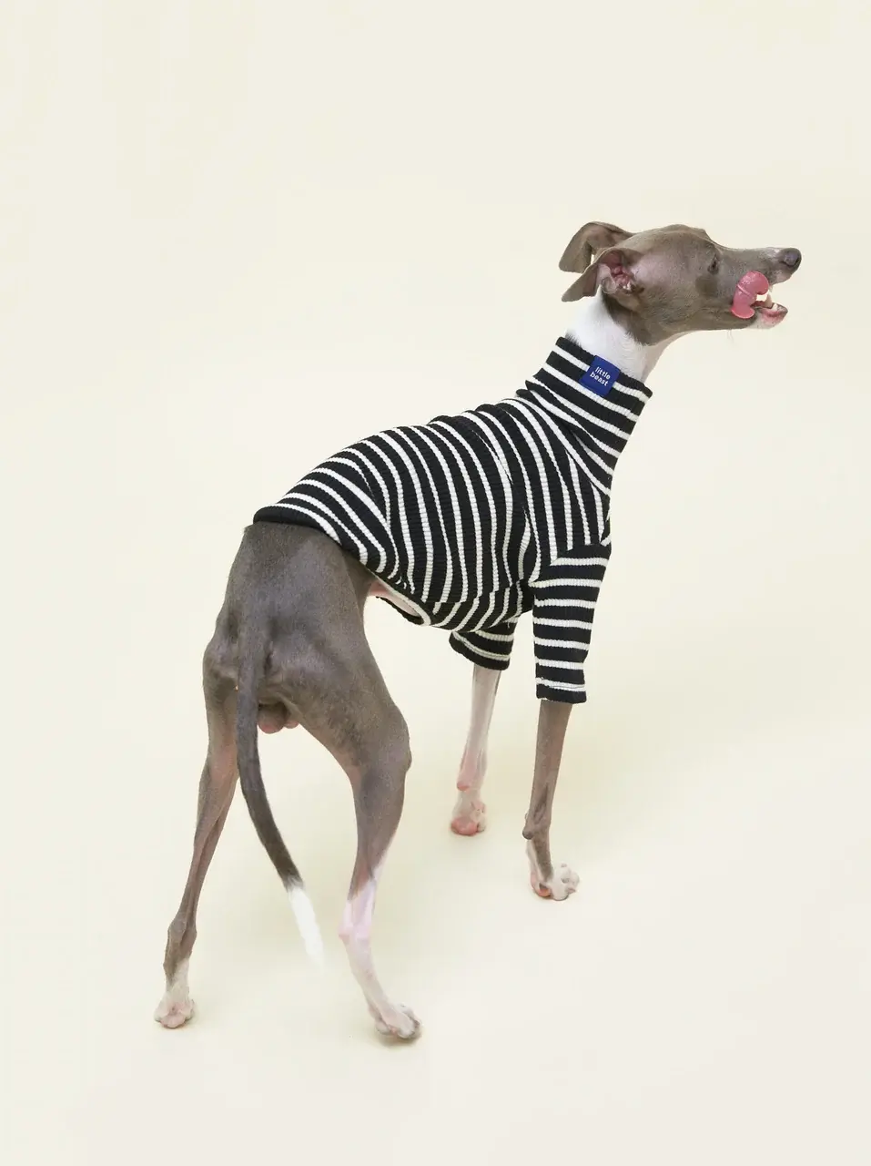 Little Beast Café in Paris Sweatshirt Striped Shirt - Black & White