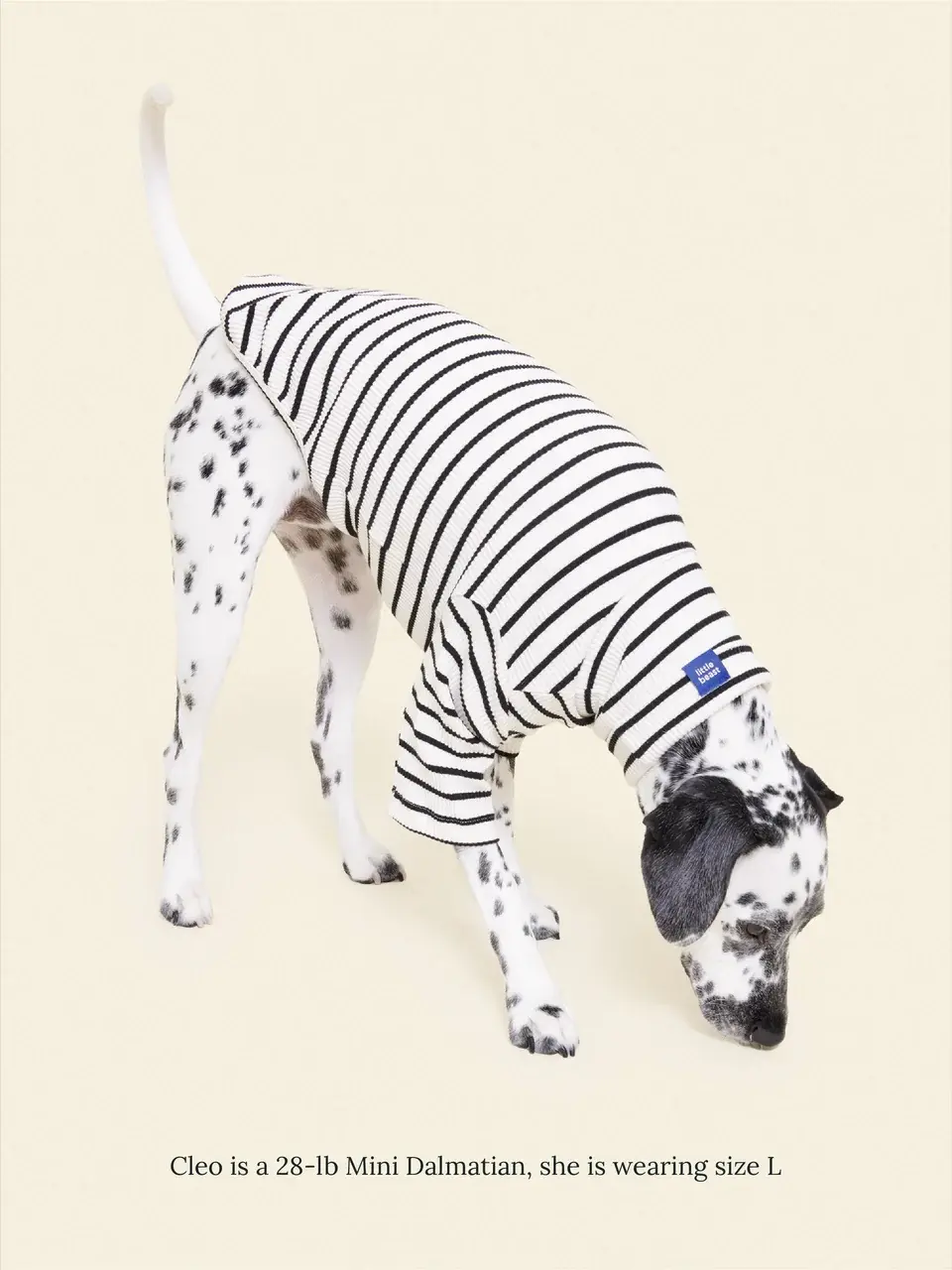 Little Beast Striped Shirt - White & Black