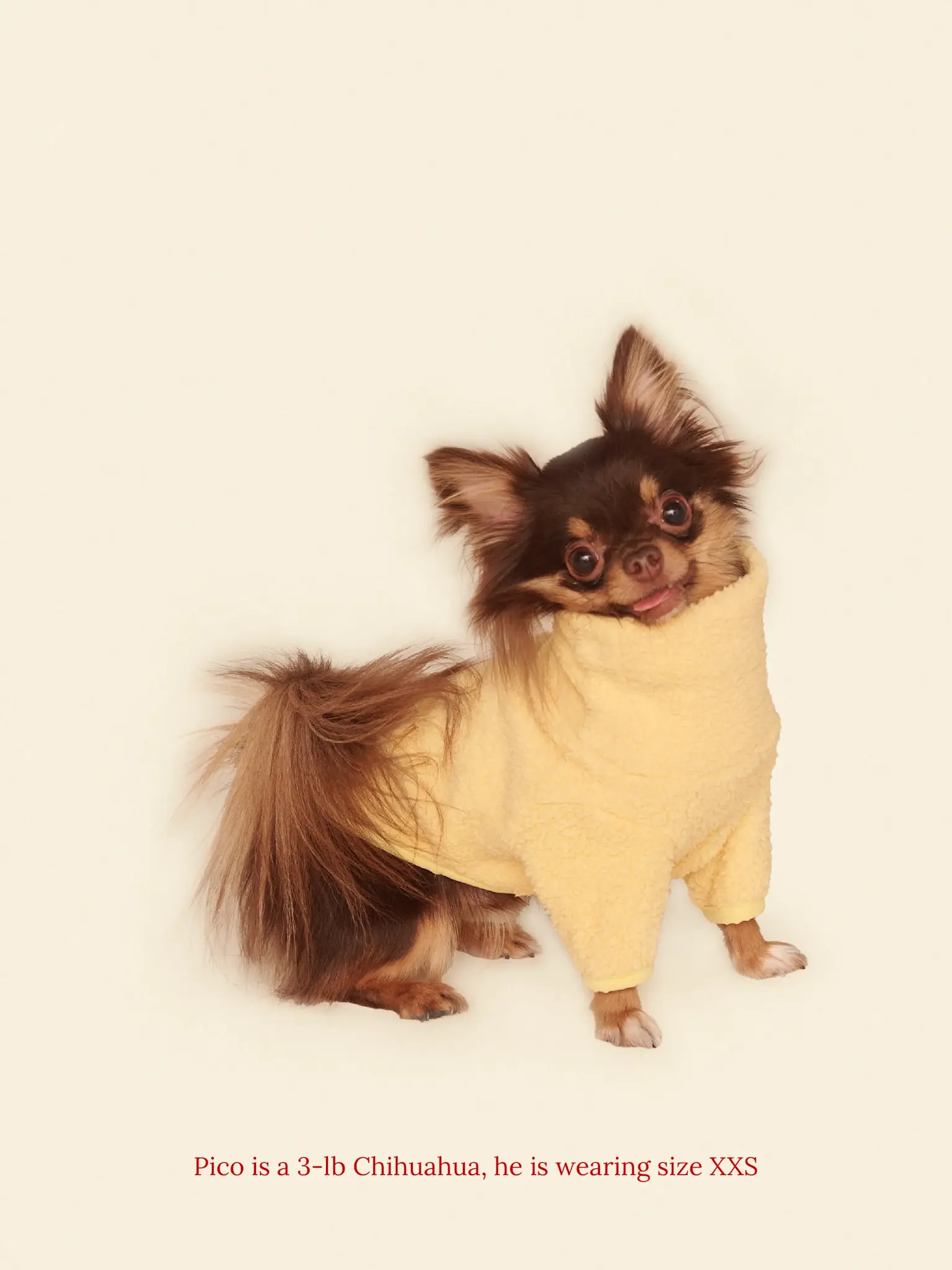 Little Beast Solid Fleece Shirt - Yellow