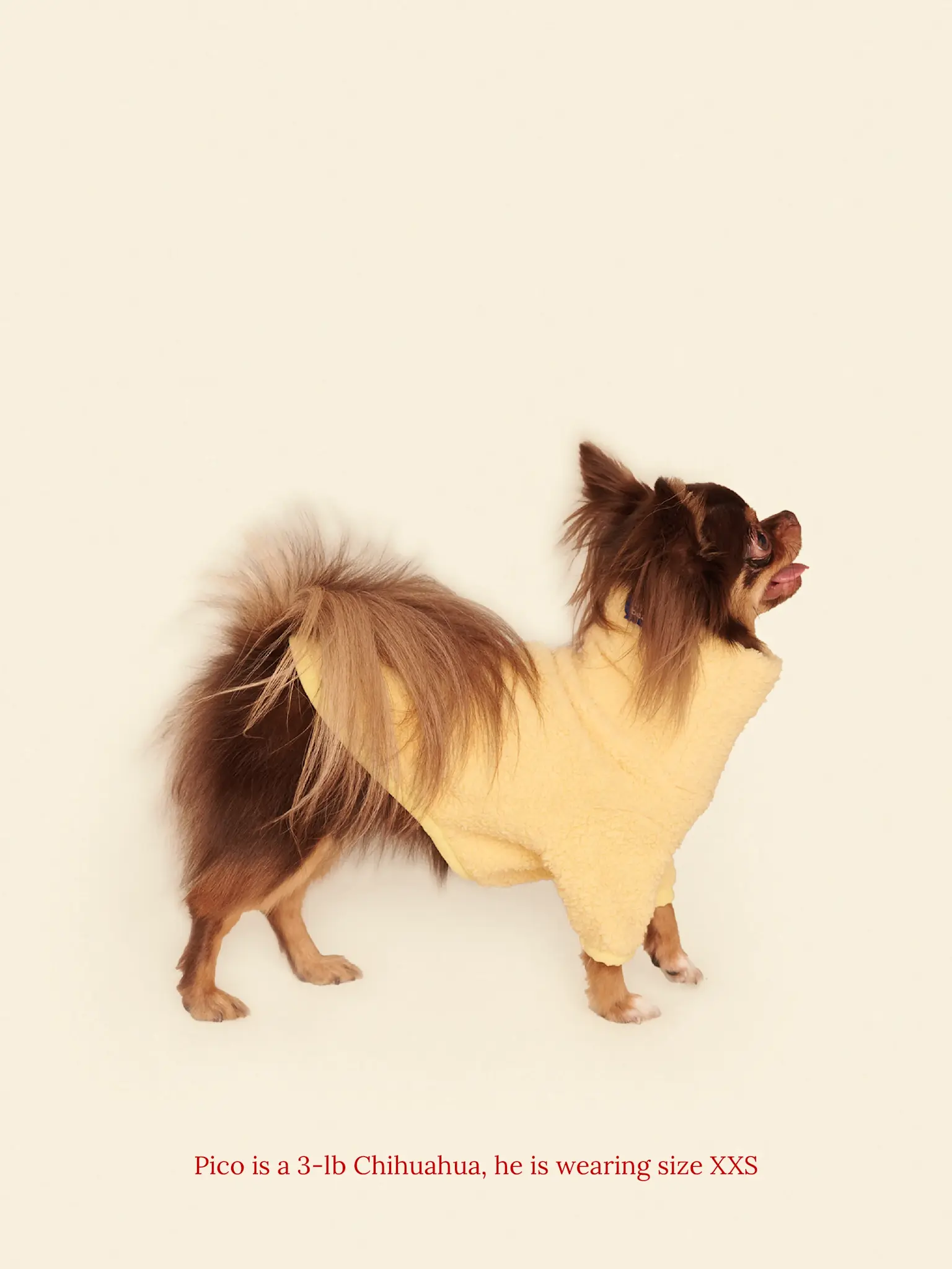 Little Beast Solid Fleece Shirt - Yellow