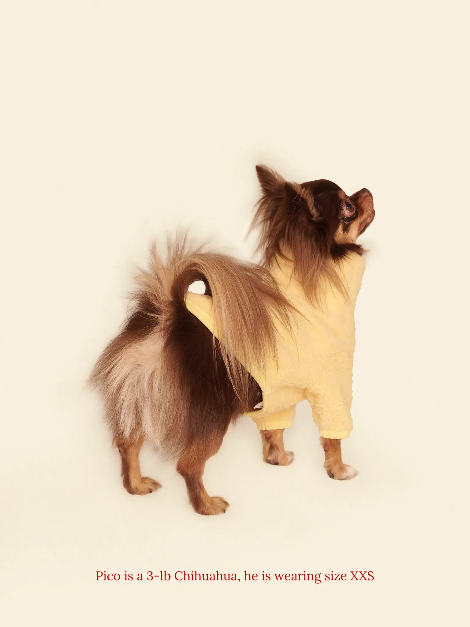 Little Beast Solid Fleece Shirt - Yellow