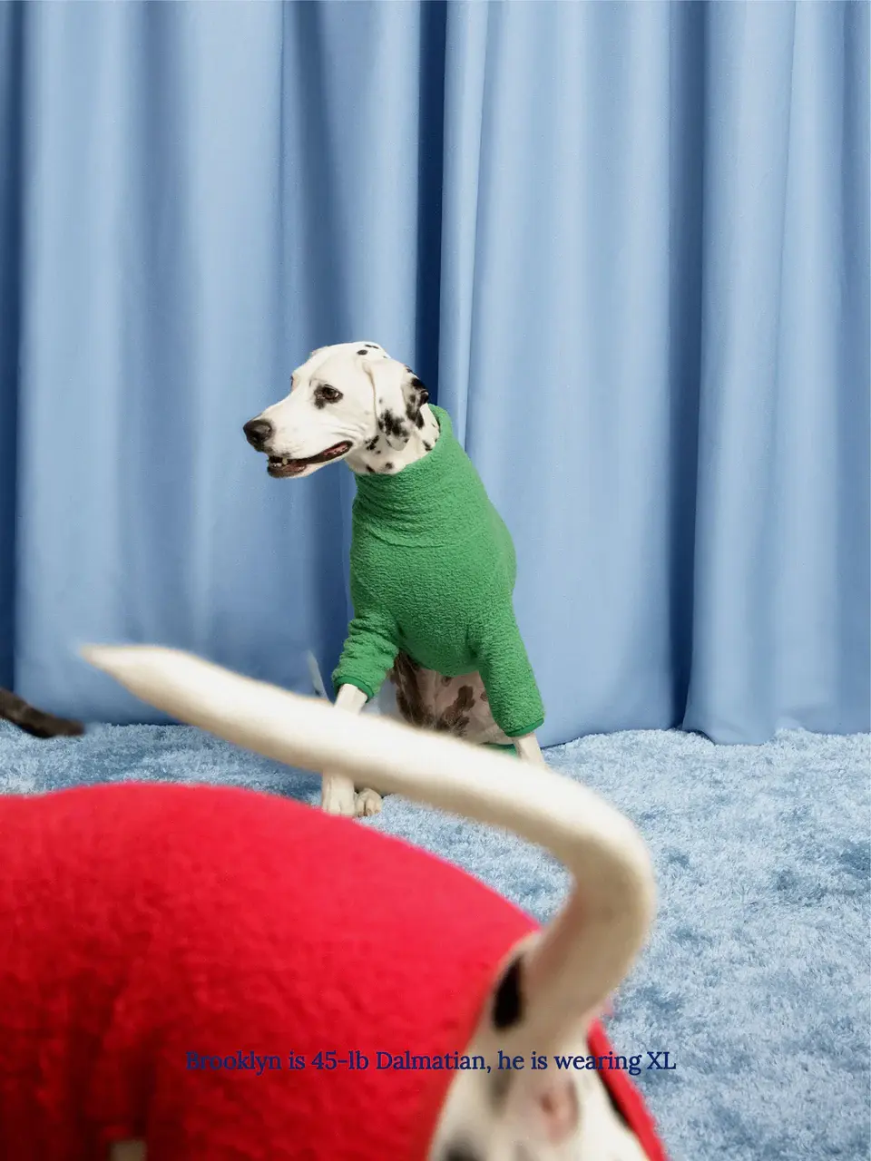 Little Beast Solid Fleece Shirt - Green