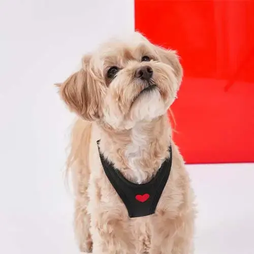 Puppy Gallery Weatherproof Dog Step-in Harness