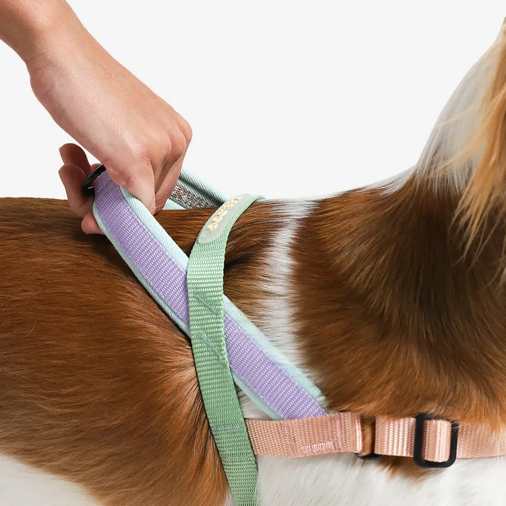 Zee Dog Harness Softer-Walk Peach