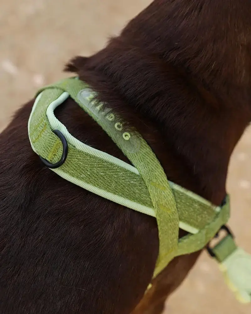 Zee Dog Softer-Walk - Moss