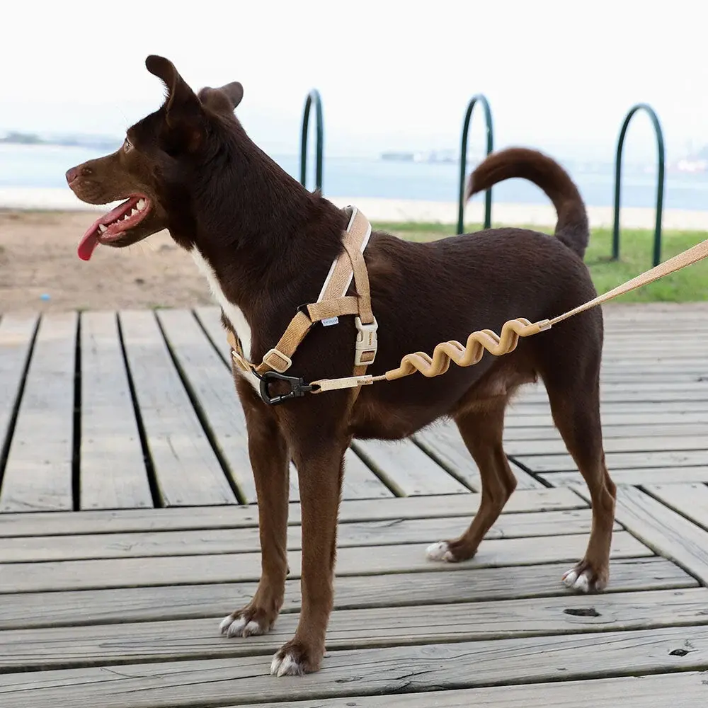Zee Dog Harness Softer-Walk Dune