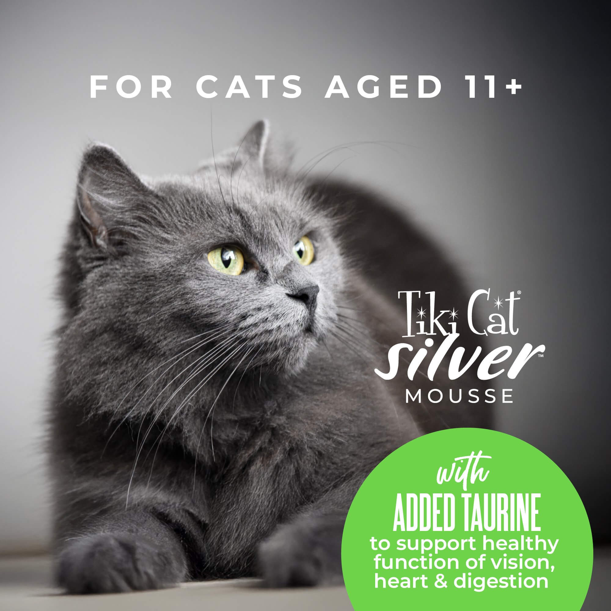 Tiki Cat Tiki Cat Velvet Mousse - Chicken & Pumpkin broth 2.8oz