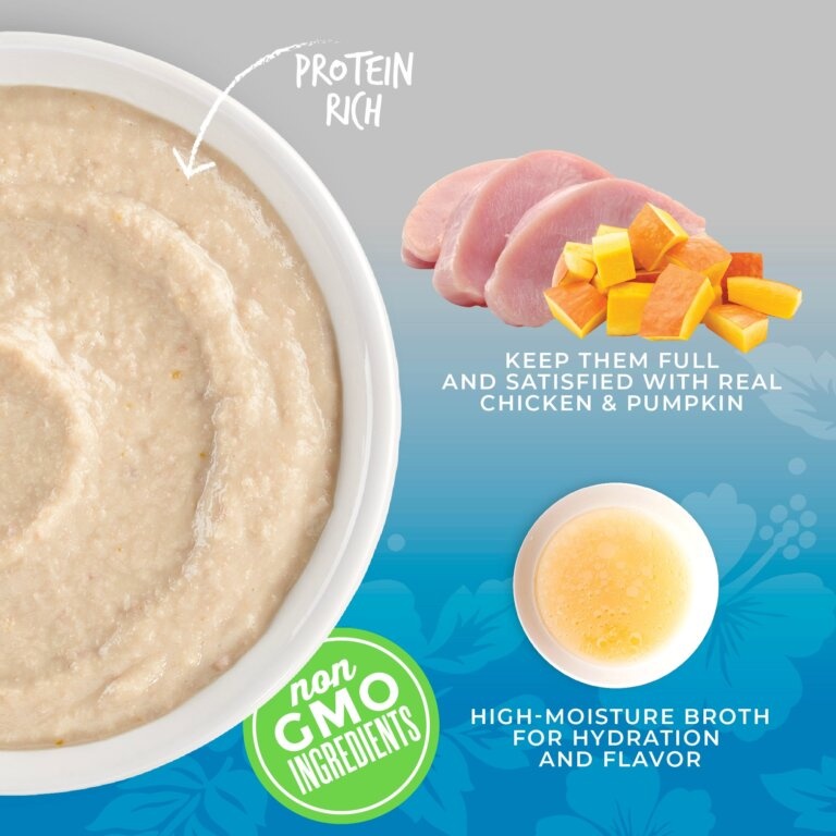 Tiki Cat Tiki Cat Velvet Mousse - Chicken & Pumpkin broth 2.8oz