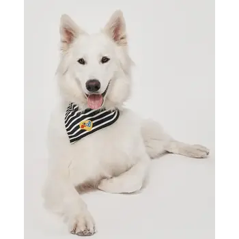 Muso&Co Breton Stripes Bandana