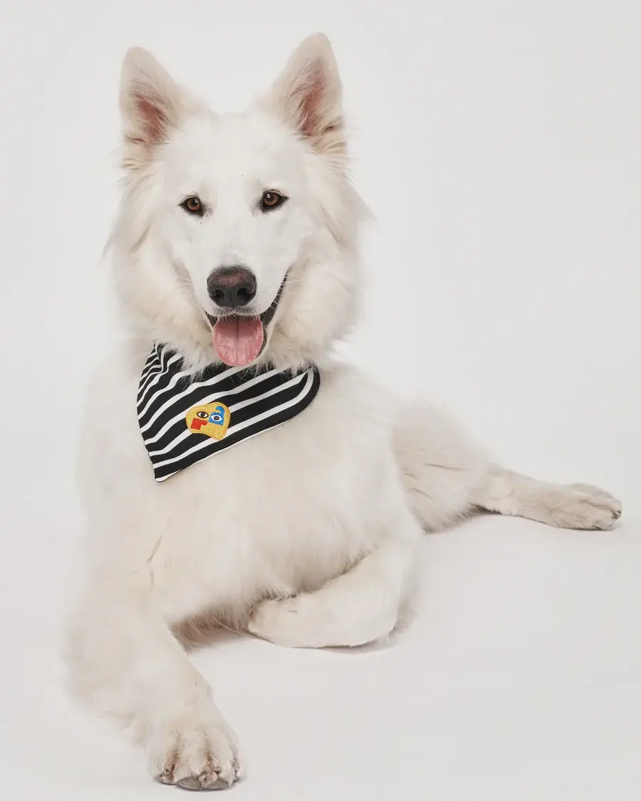 Muso&Co Breton Stripes Bandana