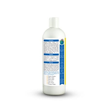 EarthBath Mango Tango® 2-in-1 Conditioning Shampoo 16 oz