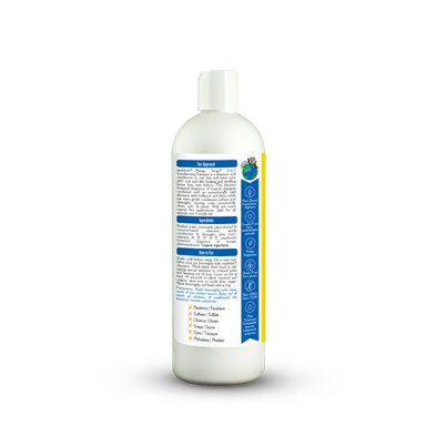 EarthBath Mango Tango® 2-in-1 Conditioning Shampoo 16 oz